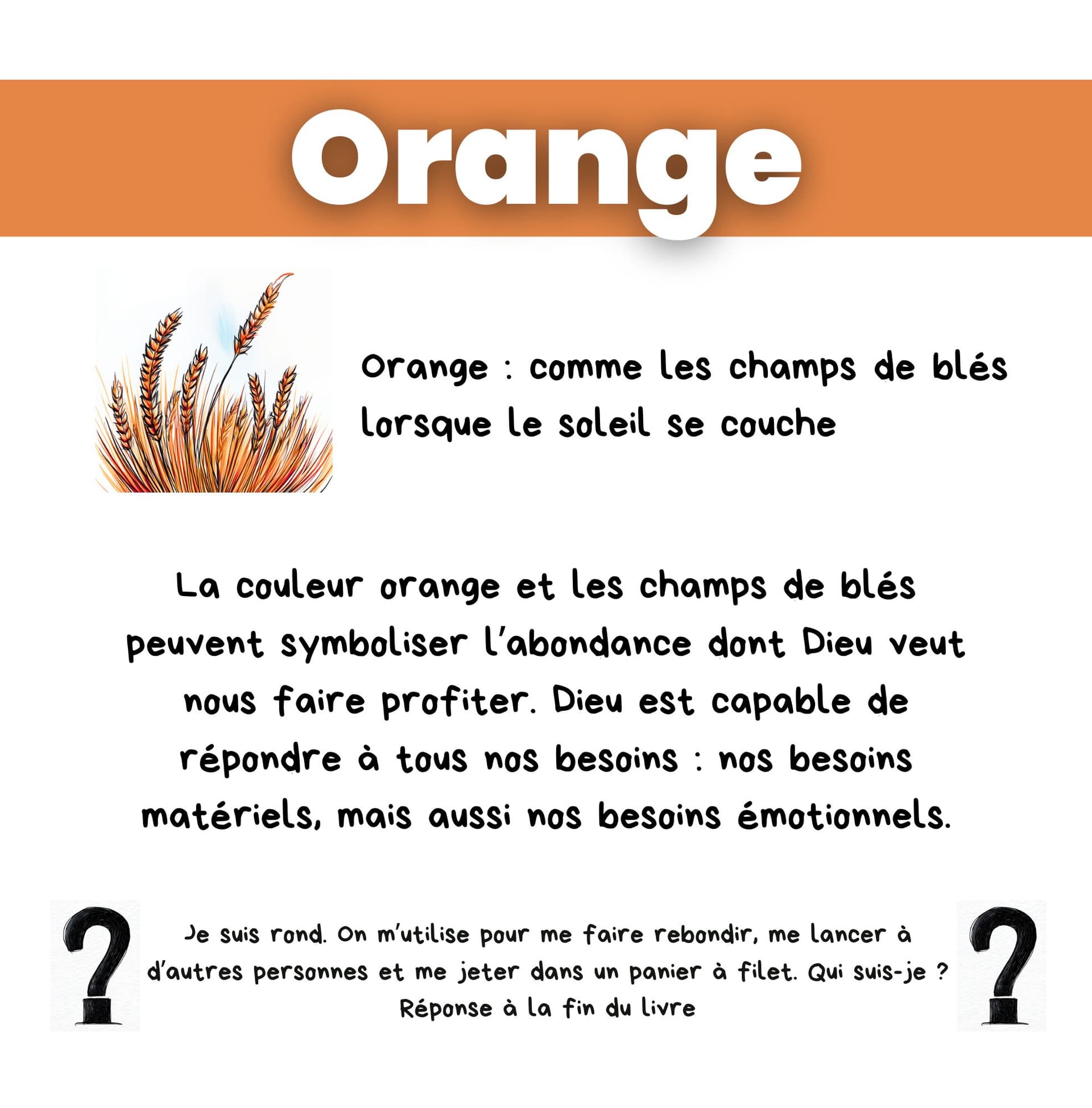 Image de la BD 11