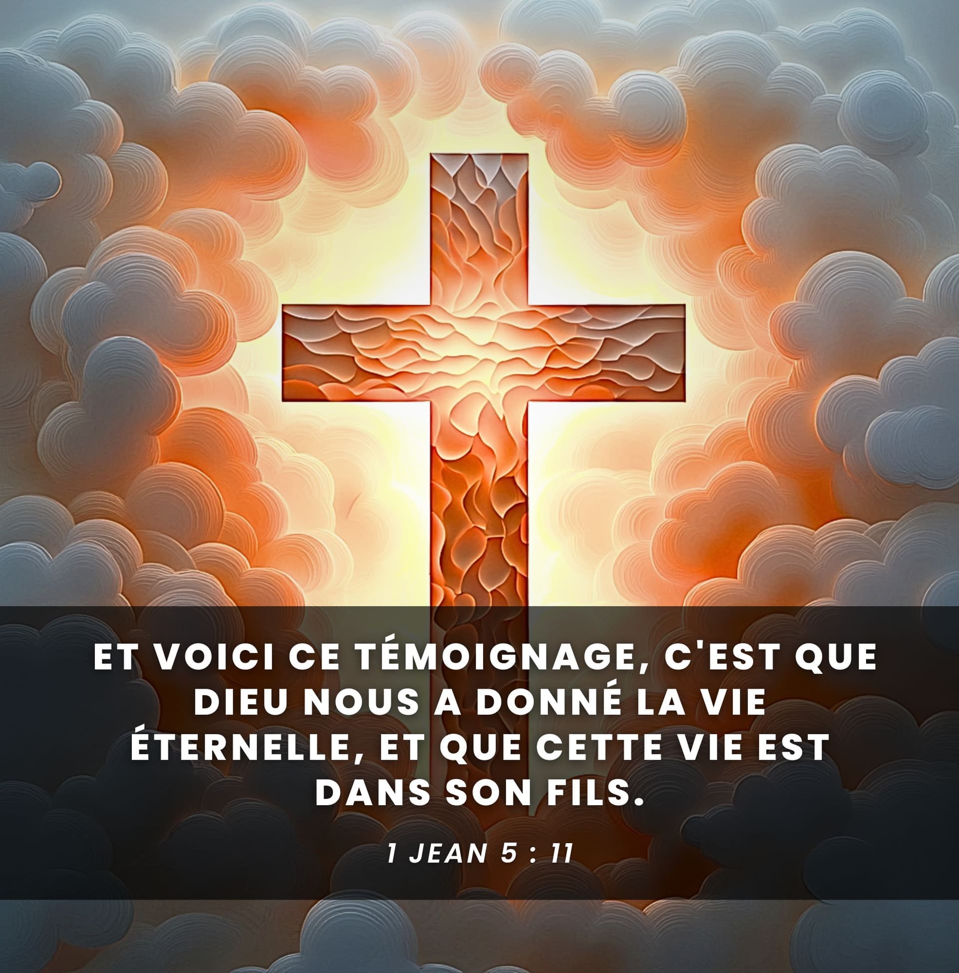 Image de la BD 24