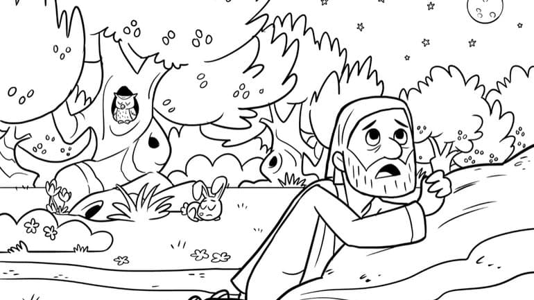 Dans le jardin